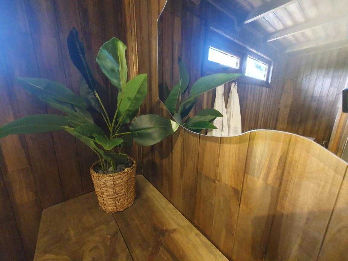 Domos Anulen Apartment Пуерто Варас Екстериор снимка
